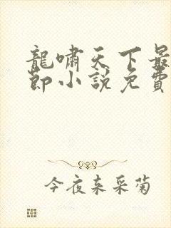 龙啸天下最新章节小说免费阅读