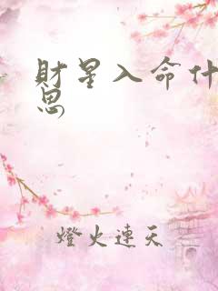 财星入命什么意思