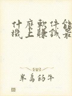 什么软件能在手机上赚钱最快