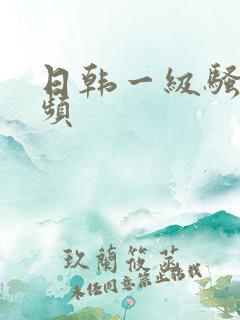 日韩一级骚片视频