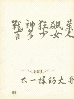 战神狂飙叶无缺有多少女人