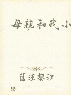 母亲和我小说