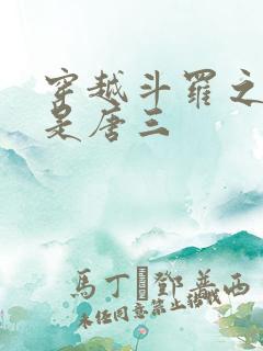 穿越斗罗之我弟是唐三