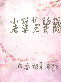 小说我的总裁大老婆免费阅读