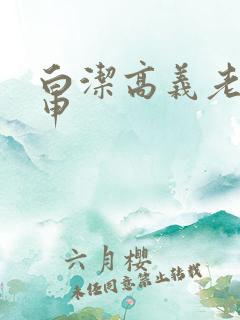 白洁高义老七王申