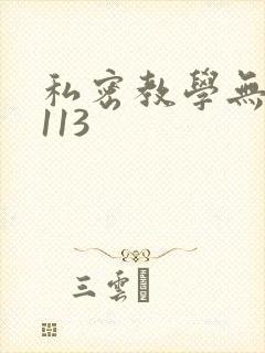 私密教学无删减113