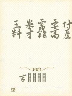 玉米需要什么肥料才能高产