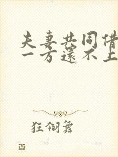 夫妻共同借贷,一方还不上,到另一方没有享受