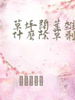 草坪阔叶杂草用什么除草剂