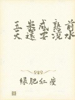玉米成熟前20天还要浇水吗