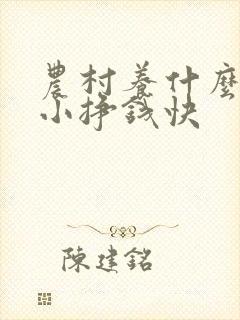 农村养什么投资小挣钱快