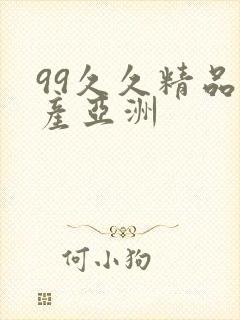 99久久精品国产亚洲