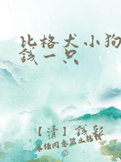 比格犬小狗多少钱一只