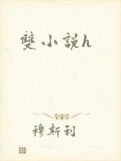 双小说h