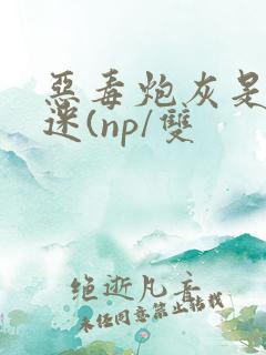 恶毒炮灰是万人迷(np/双