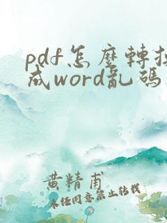 pdf怎么转换成word乱码了怎么办