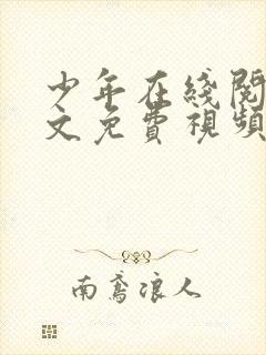 少年在线阅读全文免费视频