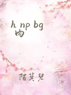 h np bg 肉