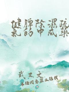 健脾除湿疏肝理气的中成药