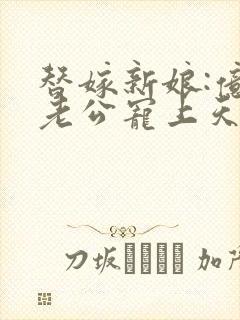 替嫁新娘:亿万老公宠上天