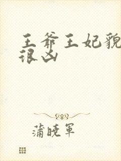王爷王妃貌美又很凶