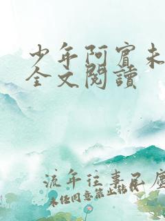 少年阿宾未删减全文阅读