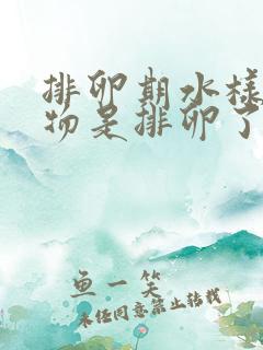 排卵期水样分泌物是排卵了吗