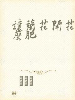 让兰花开花施什么肥