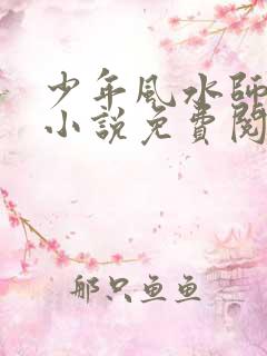 少年风水师吴峥小说免费阅读完整版