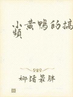 小黄鸭的搞笑视频