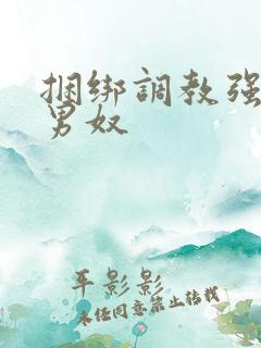 捆绑调教强制虐男奴