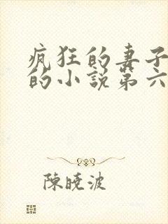 疯狂的妻子王惠的小说第六章在线阅读