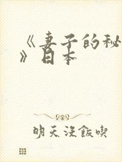 《妻子的秘密2》日本
