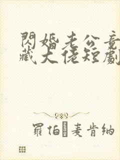 闪婚老公竟是隐藏大佬短剧资源