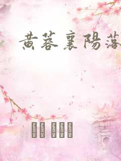 黄蓉襄阳落难