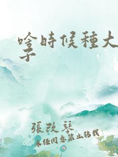 啥时候种大葱种子