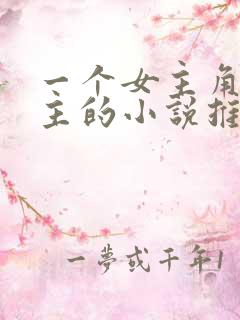 一个女主角双男主的小说推荐完结文