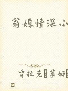 翁媳情深小说