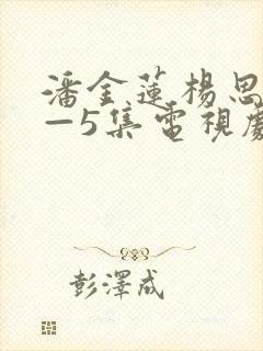 潘金莲杨思敏1—5集电视剧