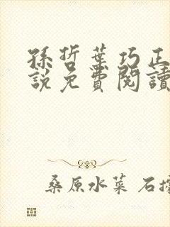 孙哲叶巧正版小说免费阅读