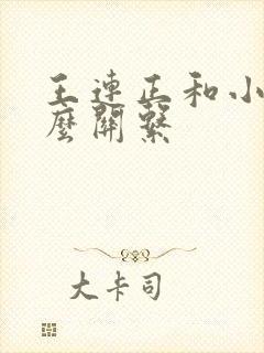 王连正和小赵什么关系