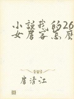 小说我的26岁女房客怎么样