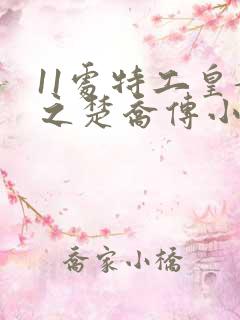11处特工皇妃之楚乔传小说