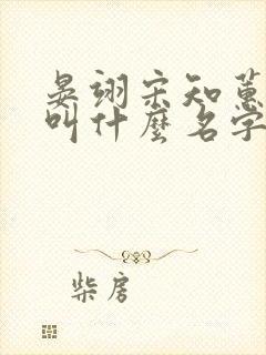 晏翊宋知蕙小说叫什么名字啊