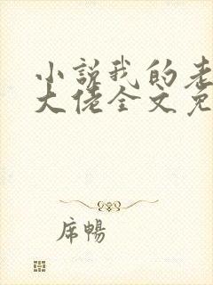 小说我的老公是大佬全文免费阅读