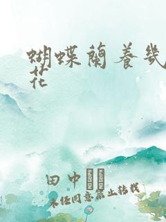 蝴蝶兰养几年开花