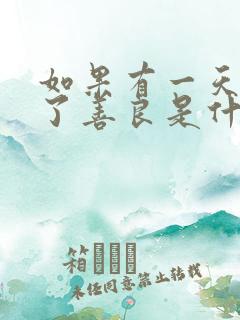 如果有一天我丢了善良是什么歌