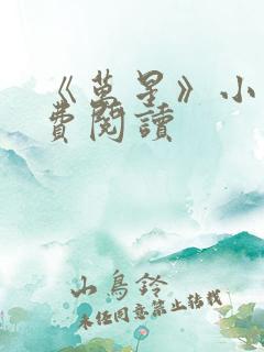 《万星》小说免费阅读