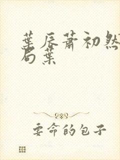叶辰萧初然大结局叶