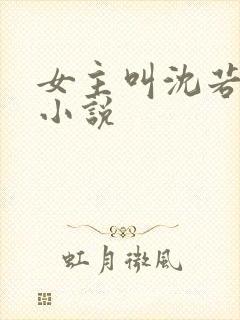 女主叫沈若惜的小说